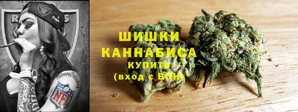 mdpv Гусев