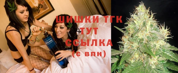 соль ск Гусиноозёрск