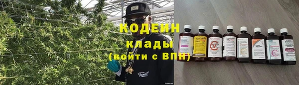 соль ск Гусиноозёрск